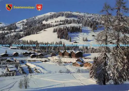 D273384 Saanenmoser Berner Oberland Kreisel 1990