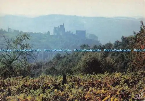 D273388 Beynac Le Chateau XIII XIV XVI siecles Ancienne Baronnie du Perigord The