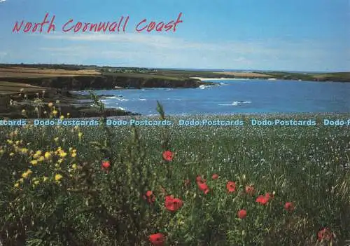 D268288 North Cornwall Coast John Hinde Dawn Runnals