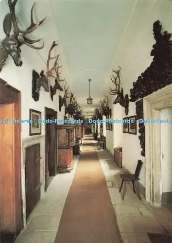 D271586 Korridor mit Geweihsammlung Schloss Greifenstein Fränkische Schweiz K E