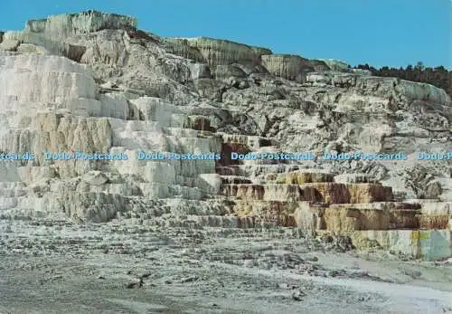 D273444 Yellowstone National Park Minerva Terrace H S Crocker Co Hamilton Stores