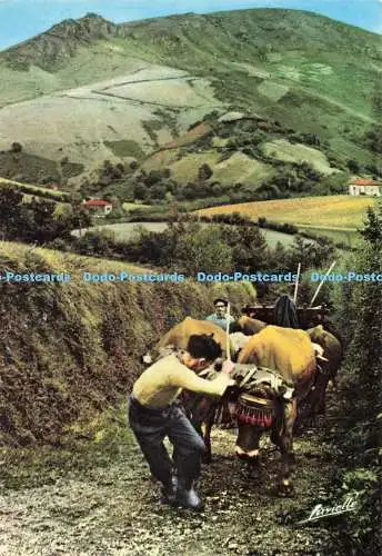 D271610 Attelage en Pays Basque Lavielle S O P E A