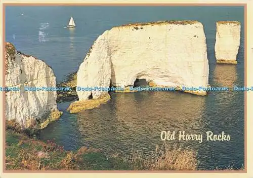 D273462 Old Harry Rocks Swanage Dorset Judges of Hastings C 2694
