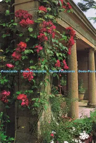 D271660 Somerset Tim und Struppi Haus Garten Balding Mansell Neil Campbell Sharp