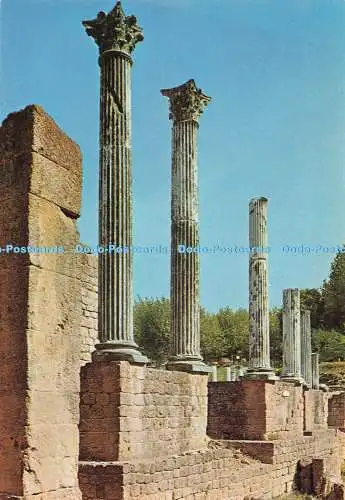D271678 Volterra Römisches Theater Bertini G M