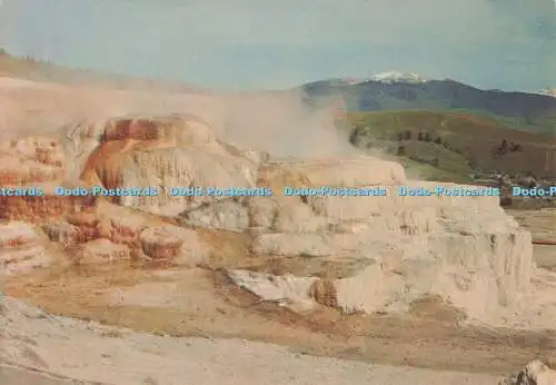 D273586 Yellowstone Nationalpark Minerva Terrasse mit Hintergrundblick auf Mamm