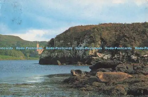 D273658 Isle of Skye Dunvegan Castle The Great Grey or Atlantic SealGroßbritannien Groß