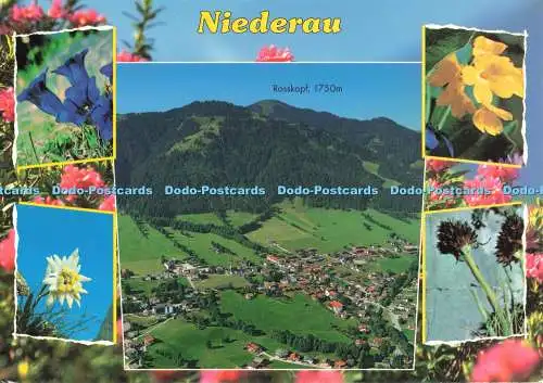 D268589 Niederau Rosskopf Alpine Luftbild Multi View