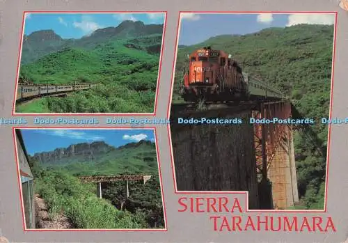 D273705 Sierra Tarahumara Brücke über Chinipas Fluss Höchste Brücke auf Route Ita