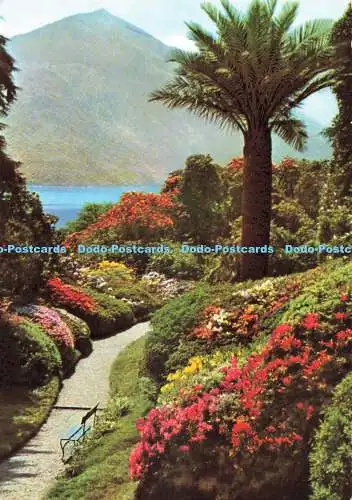D271867 Lago di Como Villa Carlotta Gardens Brunner