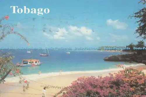 D273706 Tobago Store Bay Zenith Services Limited Christine Yhap Pumpkin Photos