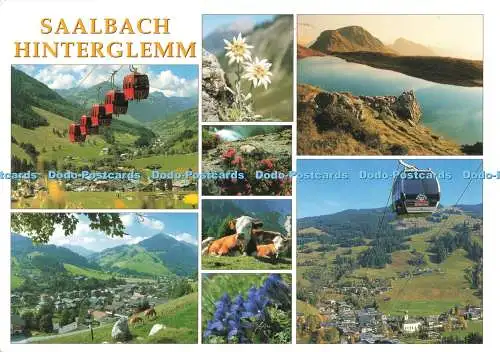 D268595 Saalbach Hinterglemm Schneider Karten D Sochor Multi View