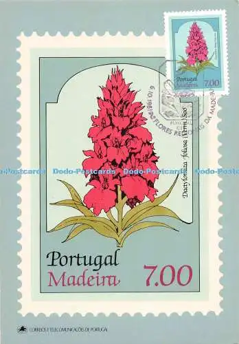D271877 Portugal Madeira Flores Regionais Lito Nacional