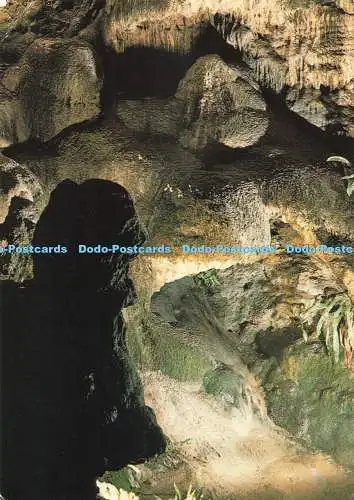 D271890 Somerset Wookey Hole Wels Die Hexe von Wookey Hole Larkfield Druck