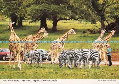 D273729 Wilts Warminster Longleat ostafrikanischer Picknick-Spielpark John Hinde Ltd E
