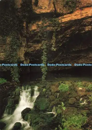 D271896 Somerset Wookey Hole Wels Flucht der Flussaxt Larkfield Druck