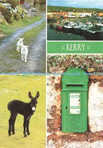 D271900 Grüße aus Irland Einblick Karten Peter Zoller Mehrfachansicht