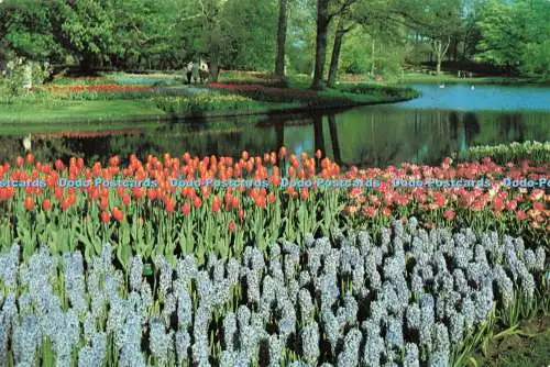 D268635 Lente In Holland Frühling in Holland Euro Farbkarten