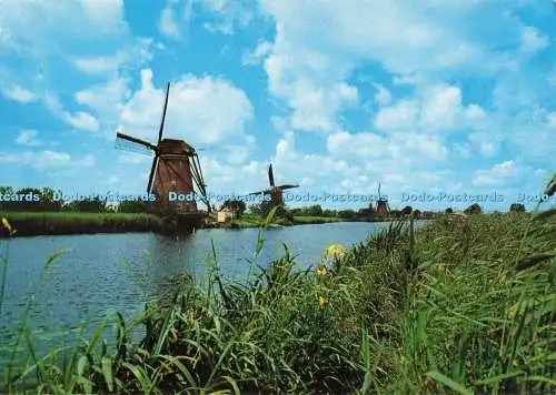 D268642 Holländische Windmühle Kinderdijk Gebr Spanjersberg