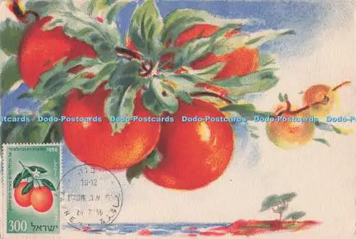 D273764 Les Fruits de France Dr Louis A Sarrow