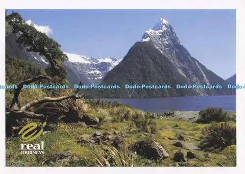 D273822 Milford Sound Real Journeys Magicmemories