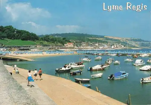 D268742 Lyme Regis The Harbour From The Cobb J Salmon