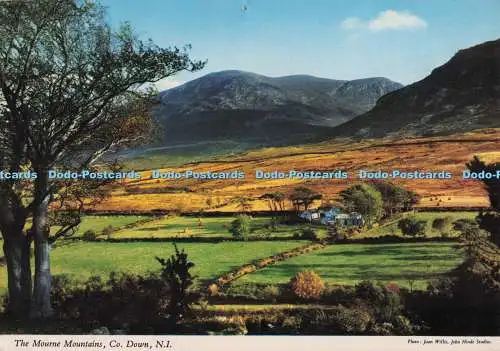 D273857 Co Down The Mourne Mountains John Hinde Ltd Joan Willis 1984