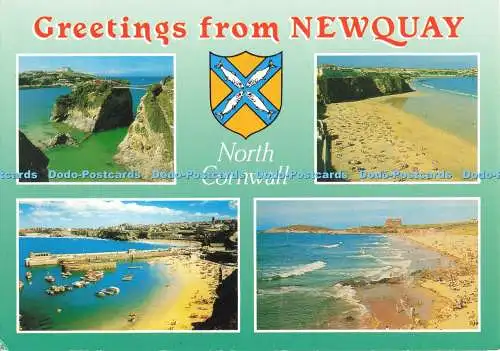 D268769 Grüße aus Newquay North Cornwall J Salmon Multi View