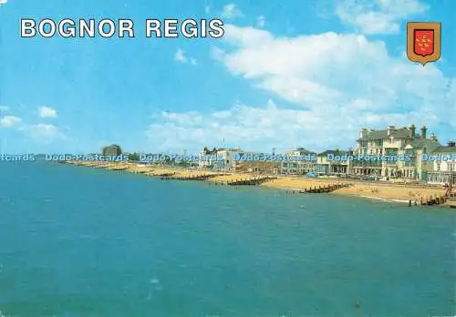 D268790 Bognor Regis Meer und Strand Löwe Karten Don Carr