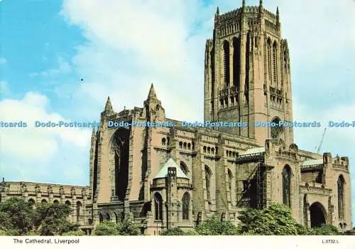 D268796 Liverpool The Cathedral E T W Dennis