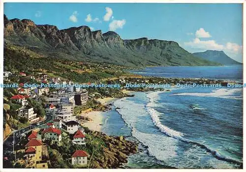 D268814 Südafrika Clifton an der Atlantikküste Cape Protea Farbdrucke