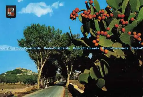 D273926 Mallorca Capdepera Teilansicht Fisa Escudo de Oro Nr 1520