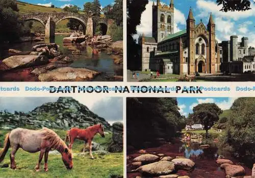 D273945 Dartmoor Nationalpark Buckfast Abbey Dartmoor Ponys Badgers Holt John