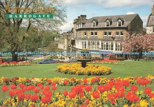 D268845 Harrogate Montpellier Gardens John Hinde