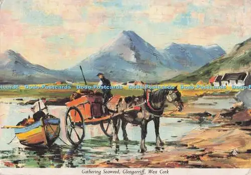 D273975 Irland West Cork Glengariff Gathering Seaweed John Hinde Ltd Irish Scho