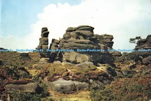 D268920 Yorkshire Brimham Rocks J Arthur Dixon 1969