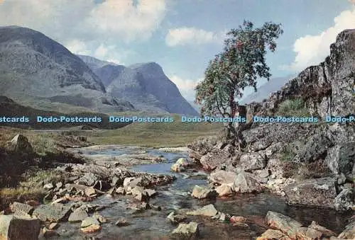 D269083 Schottland am Fluss Coe Glencoe Argyllshire J Arthur Dixon W S Thomson