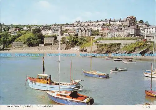 D274262 New Quay The Harbour Judges Limited C 737