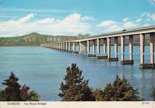 D274267 Dundee Tay Straßenbrücke Whiteholme Ltd Hagel Caledonia Produkt