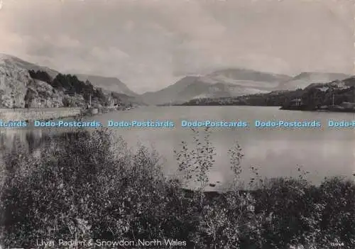 D274280 North Wales Llyn Padarn and Snowdon St Albans Series RP 1962