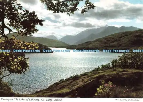 D269173 Irland Abend auf den Seen von Killarney John Hinde Joan Willis