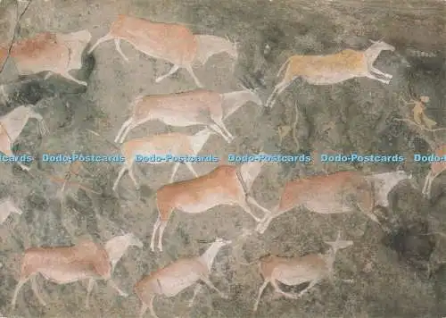 D274289 Kapstadt Südafrikanisches Museum Felsmalerei aus den südlichen Drakensbe