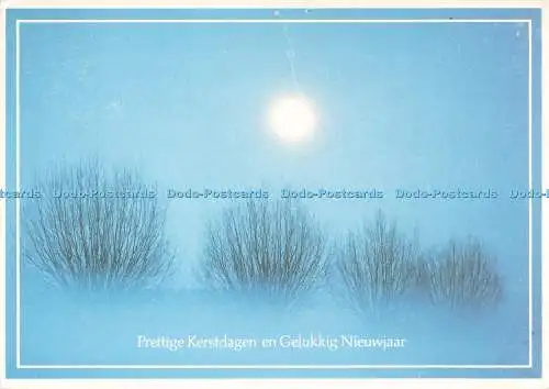 D269177 Prettige Kerstdagen en Gelukkig Nieuwjaar