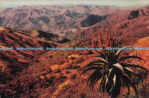 D274290 Natal Valley of a Thousand Hills S A R Werbe- und Reiseabteilung