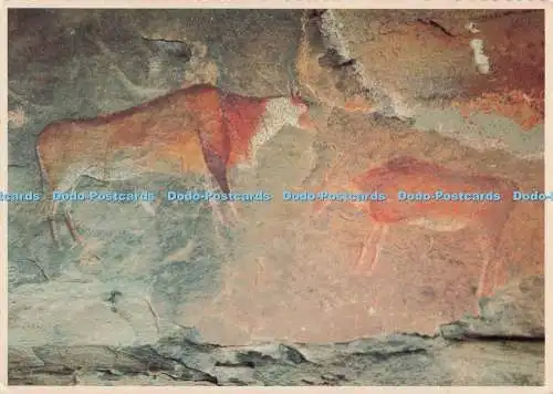 D274295 Cape Province Aliwal North Katkoenkrans Rock Paintings White Lady of Bra