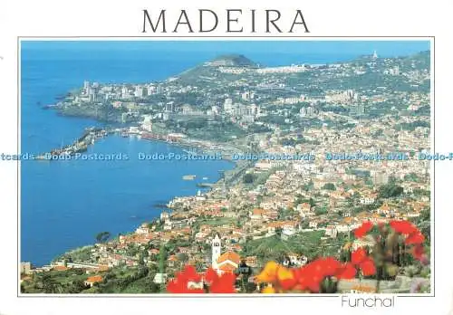 D269188 Madeira Funchal Western Blick auf Funchal Francisco Ribeiro