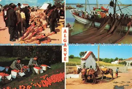 D269189 Algarve Regional Aspectos C S J Valle Multi View