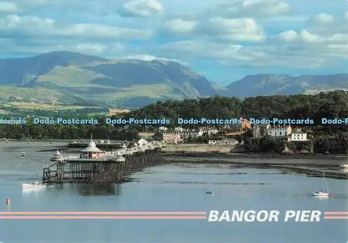 D274306 Bangor Pier John Hinde Ltd David Noble