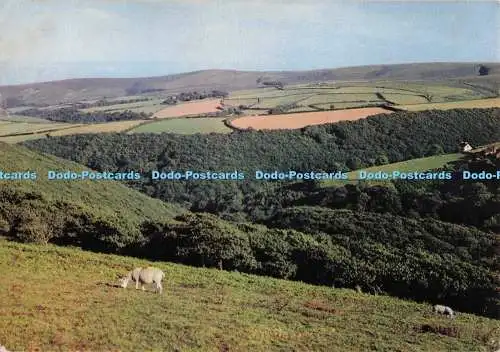D274454 Exmoor Landschaft Richtung Dunkery Beacon J Arthur Dixon Ltd H D Keilor 19