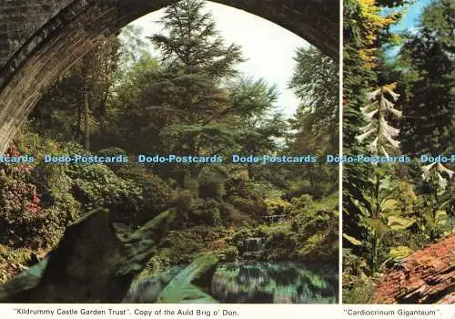 D269426 Kildrummy Castle Garden Trust Kopie der Auld Brigo Don E T W Dennis M